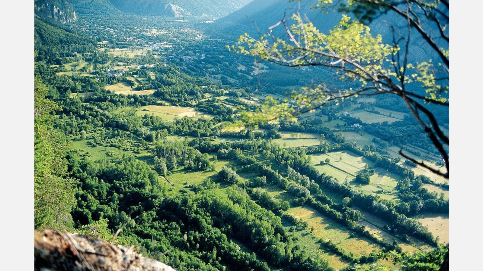 bocage.jpg